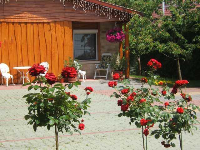 Angela Panzio Bed & Breakfast Berettyóújfalu Dış mekan fotoğraf