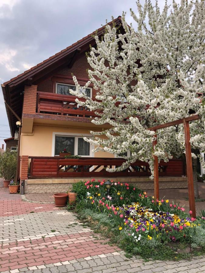 Angela Panzio Bed & Breakfast Berettyóújfalu Dış mekan fotoğraf